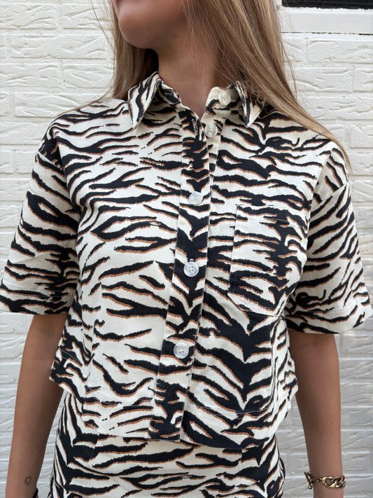 Top zebra | Lieke